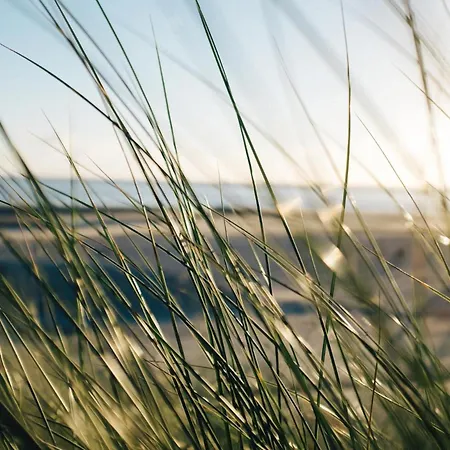 Apartament Nordstrandperle Ap E10 *