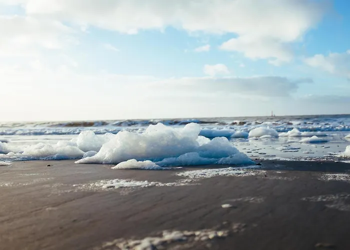 Appartement Nordstrandperle Ap E10