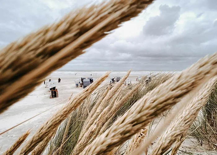 Nordstrandperle Ap E10 Appartement