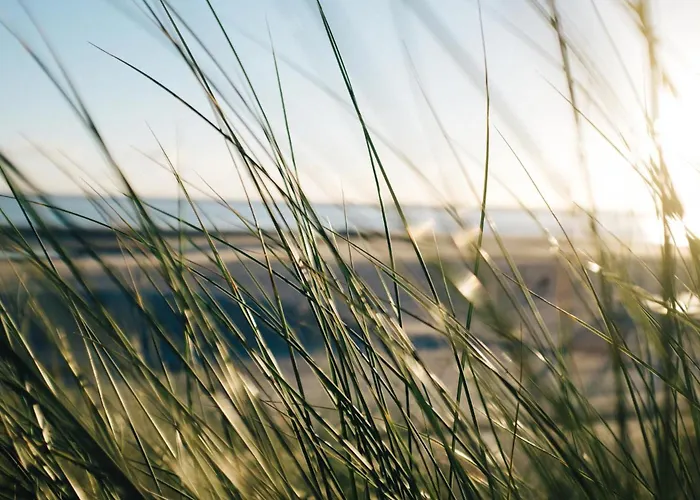 Appartement Nordstrandperle Ap E10 *